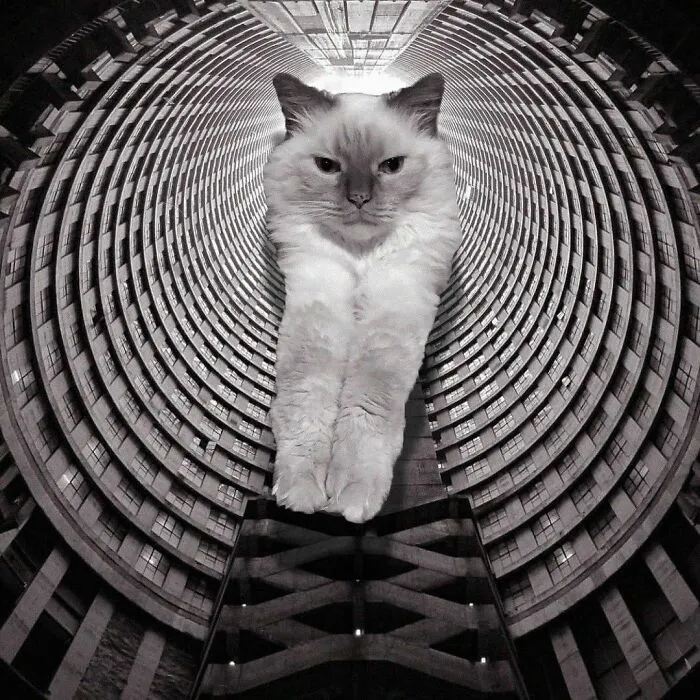 Ponte City Apartments; Manfred Hermer, 1975, Johannesburg, South Africa