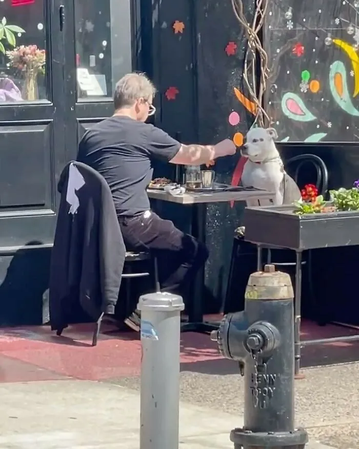 Lunch Date