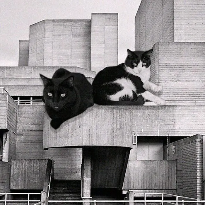 Royal National Theatre; Denys Lasdun, 1976, London, England