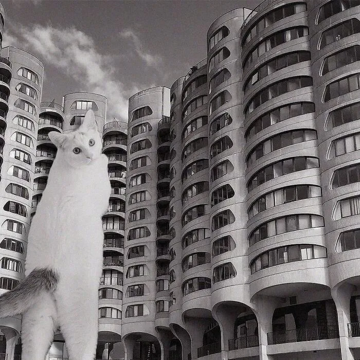 River City; Bertrand Goldberg, 1986, Chicago, Illinois