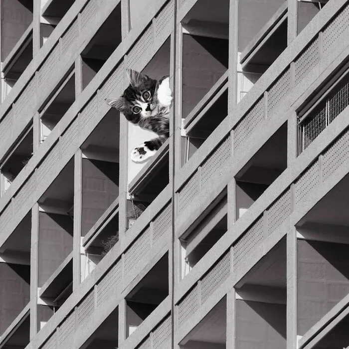 Unite D'Habitation; Le Corbusier, 1952, Marseille, France