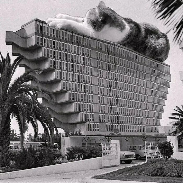 Hôtel Du Lac; Raffaele Contigiani, 1973,tunis, Tunisia
