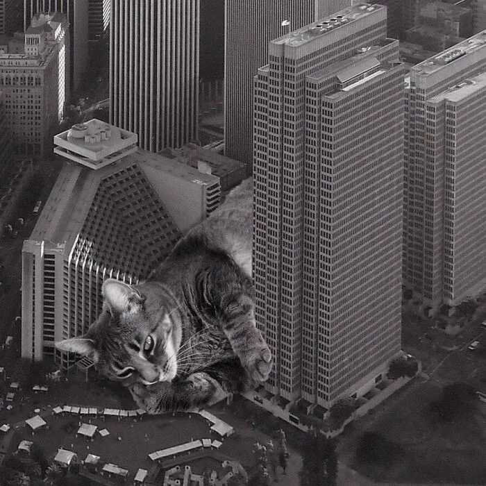 Embarcadero Center; John C Portman Jr, 1971-1989, San Francisco, California