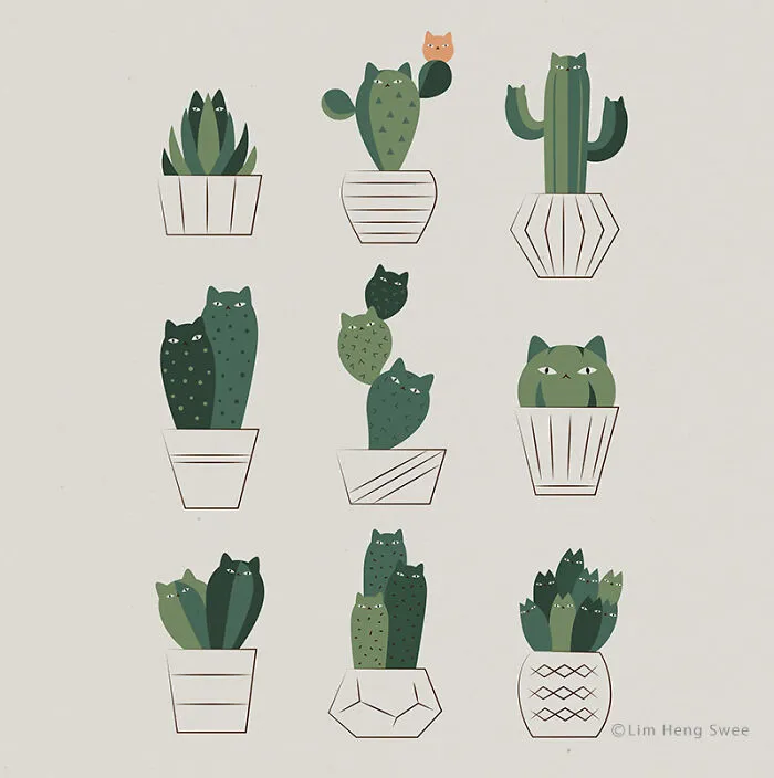 Succulents