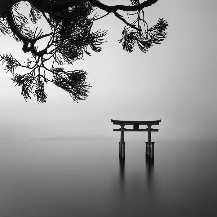 Torii  (Highly Commended In Nature And Landscape)