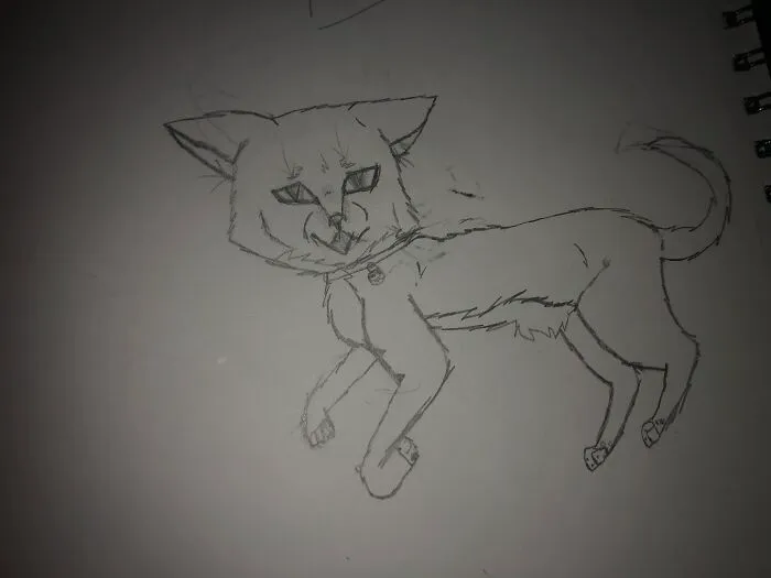 My Cat(S) Here’s One