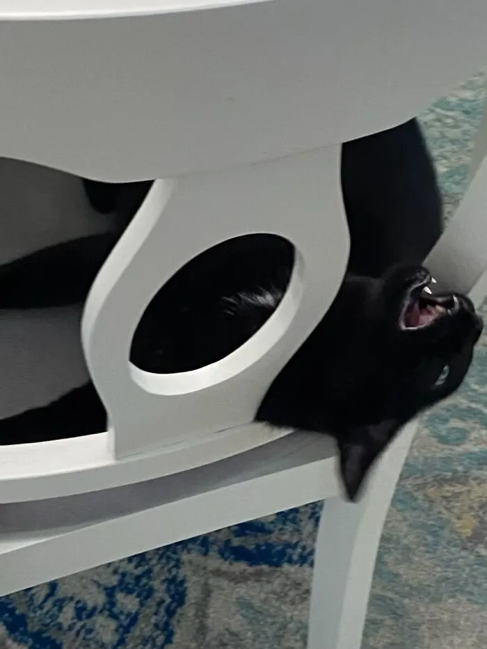 We Woke Her Up…