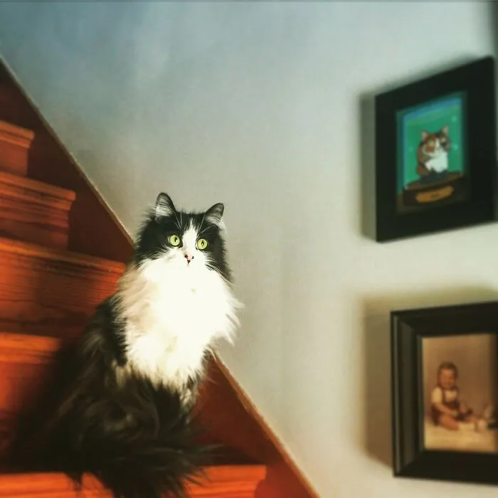 Dexter: Named After Dexter Morgan.  He's Killer!
