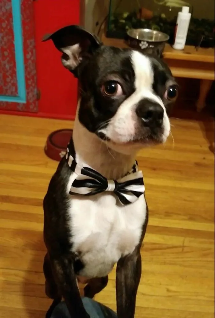 He Was About A Year Old In This Photo.  His Name Is Dubbs.  :)