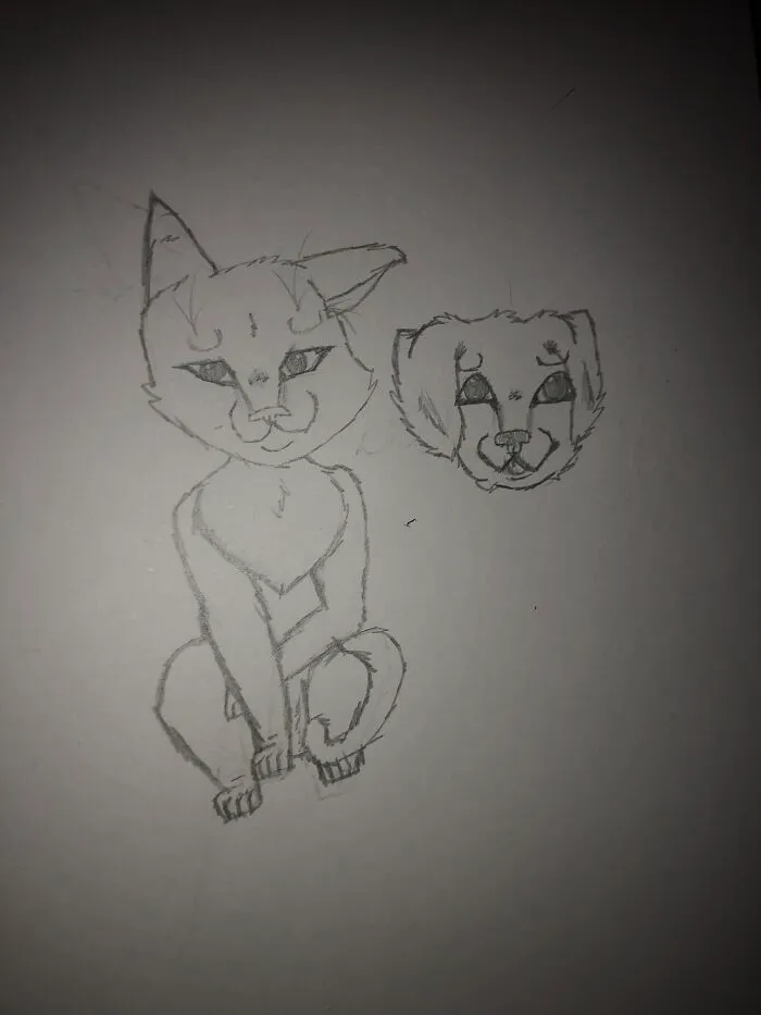 My Other Cat. (Last New Drawing)