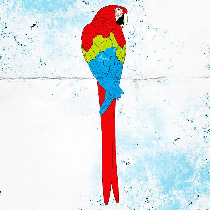 Parrot !