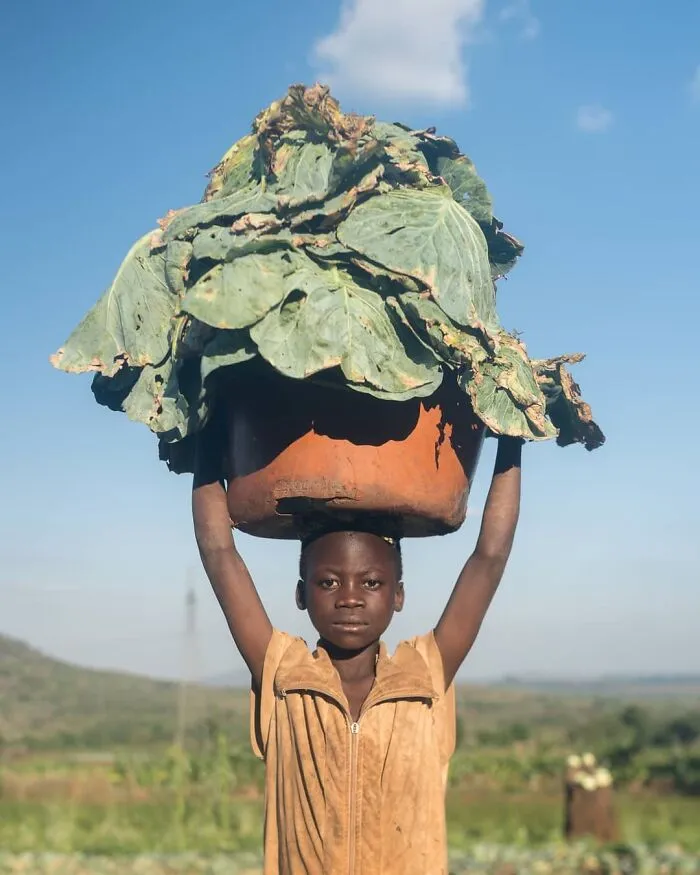 106 Photos To Show Everyday Life And Hardships Of Mozambican People By Grégory Escande