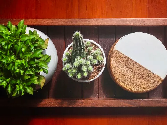 Green. Stone. Wood