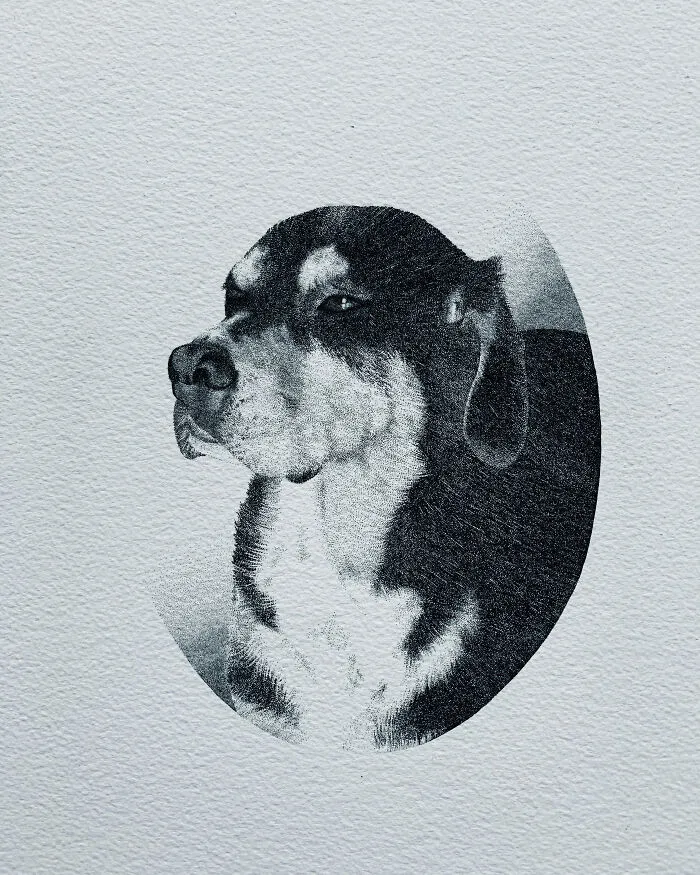 My 30 Stippling Drawings That Are Composed Of Millions Of Dots