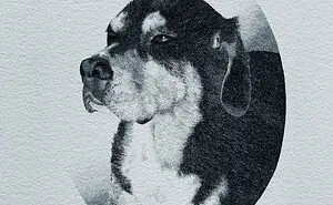My 30 Stippling Drawings That Are Composed Of Millions Of Dots