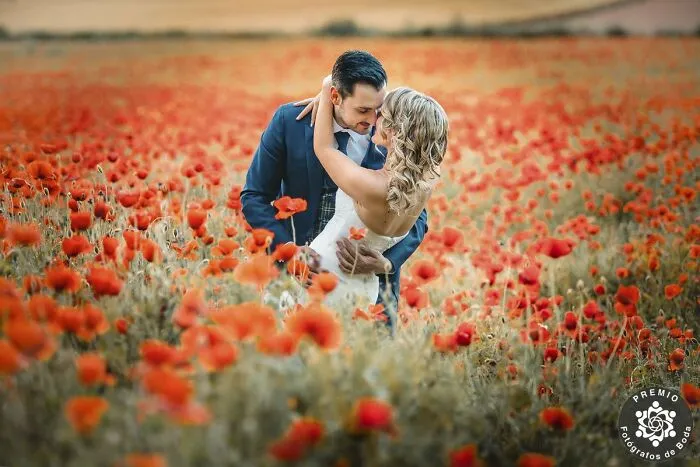 Romantic Couple Photo By Domingo García Torres
