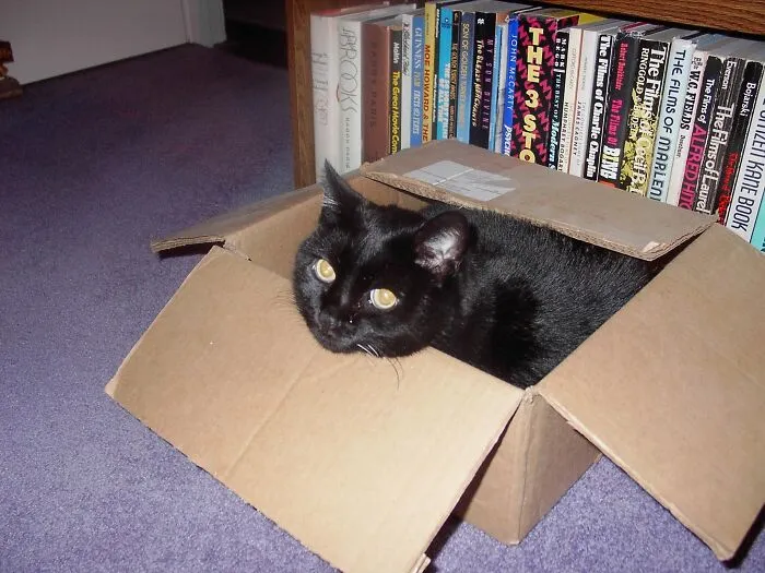 Fletcher (About To Be Shipped To The Lucky Ebay Bidder).