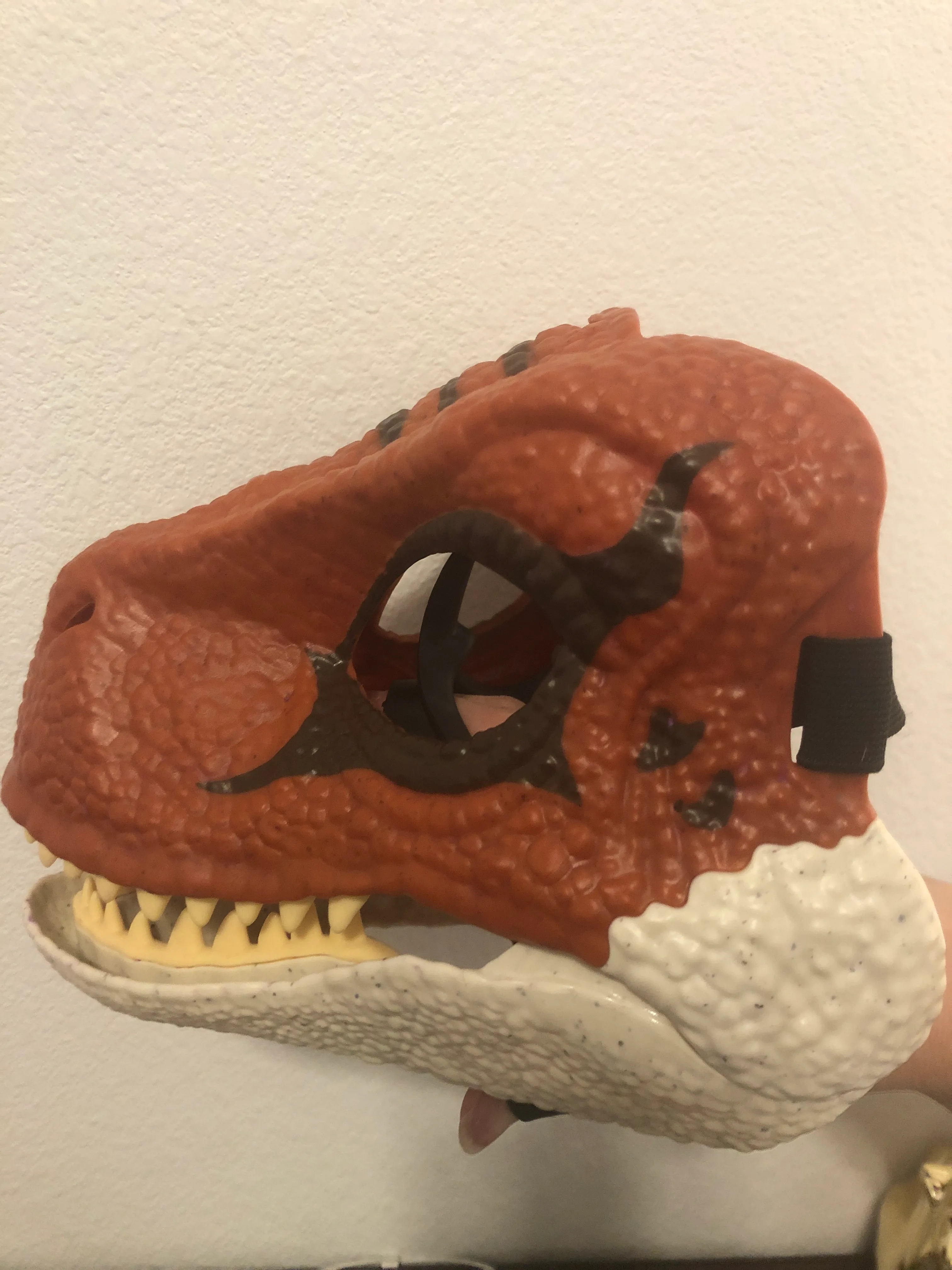 Hey Pandas! I Challenge You To Show Off Your Dino Furs!