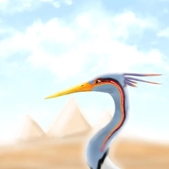 Bennu Bird, Drawn In Ibispaint