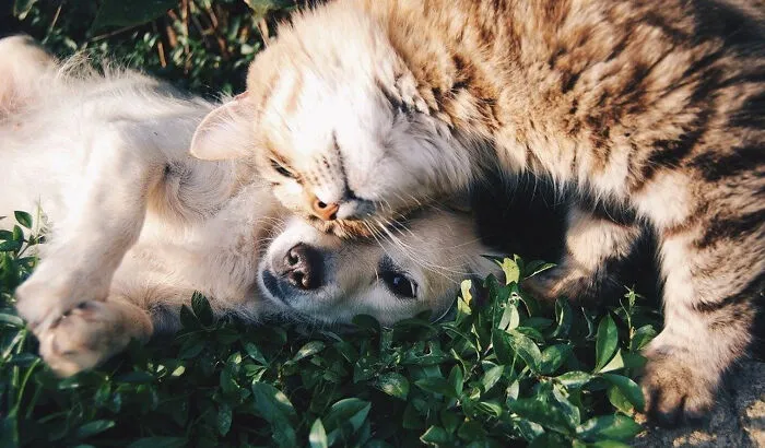 Snuggles!
