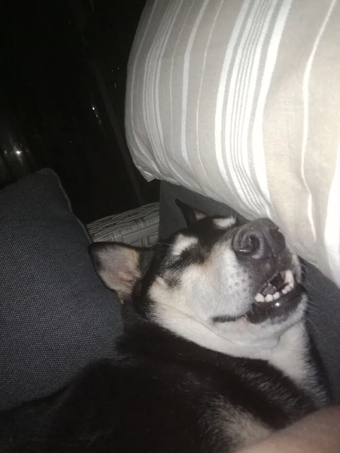 How I Look When I Sleep...