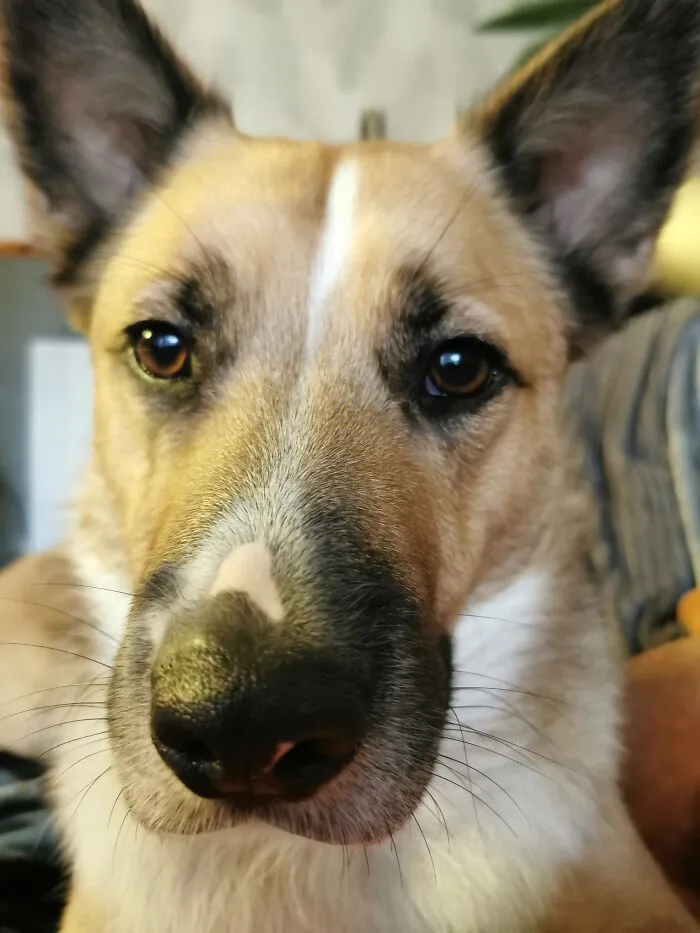 My Boy Max