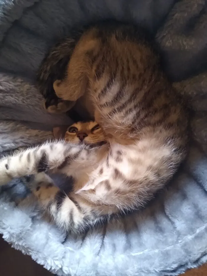 Sydney, 5 Months