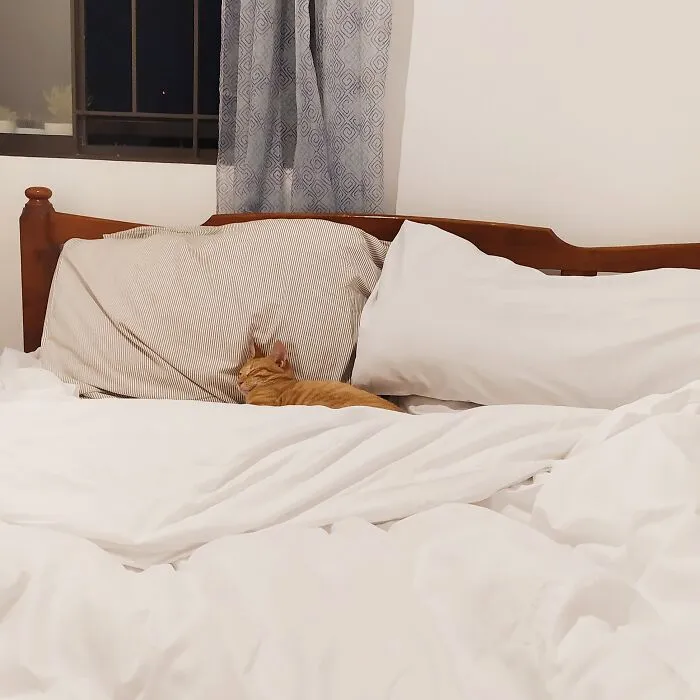 Zzzzzzzz