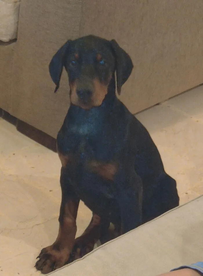 Wednesday - Named After Odin's Character In American Gods.