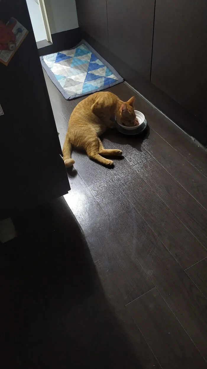 Not How To Eat.