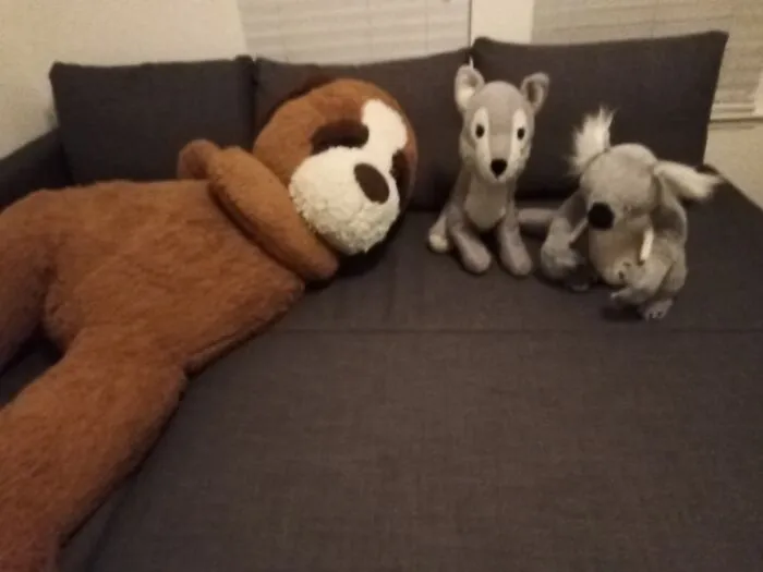 My Storage Futon. It Isn't The Entire Room, But It Takes Up Most Of The Space