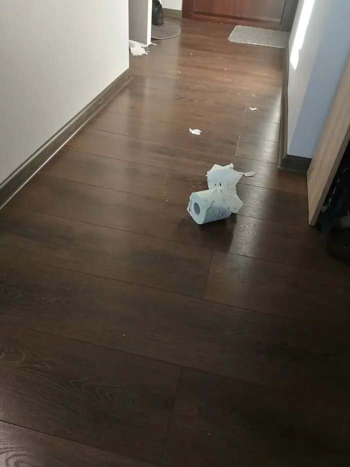Woke Up To This