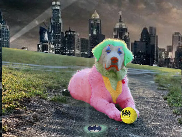 Joker's A Mad Dog