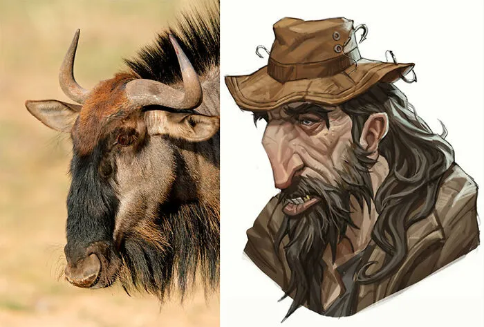 Wildebeest