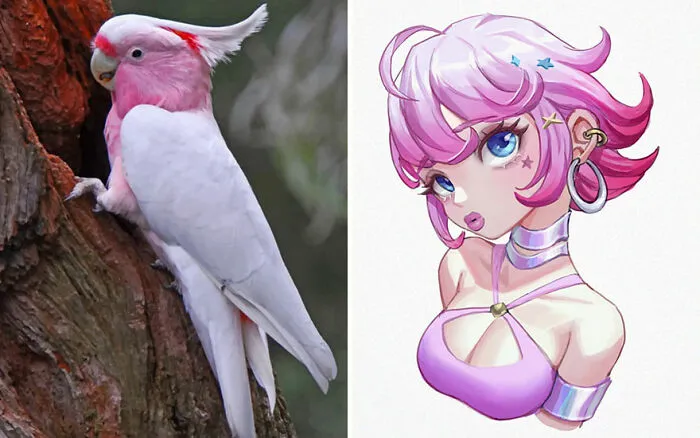 Galah