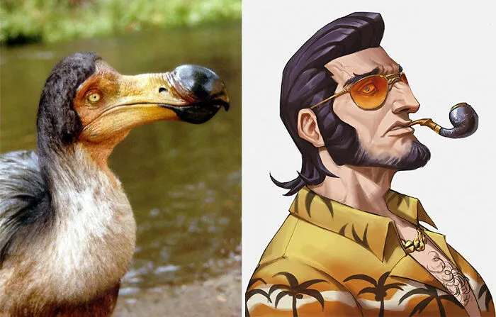Dodo