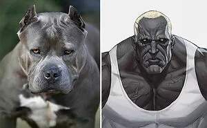 Korean Artist Transforms Animals Into Anime-Like Characters While Keeping Their Features (23 Pics)