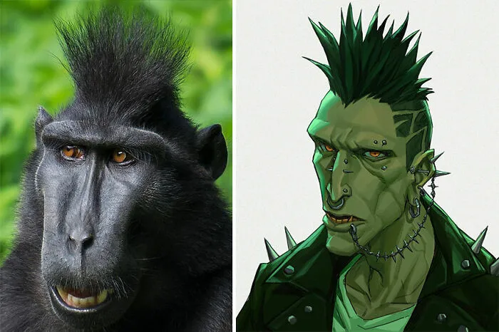 Crested Black Macaque