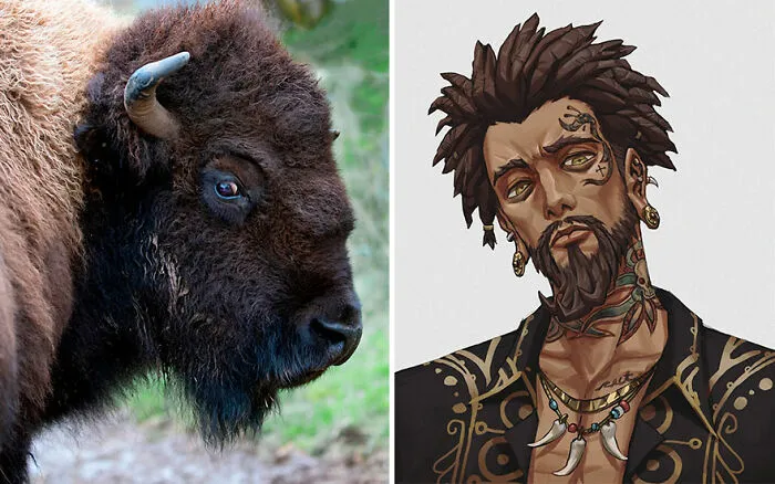 American Bison