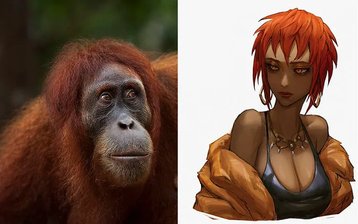 Orangután