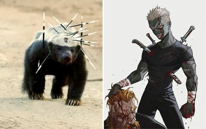 Honey Badger