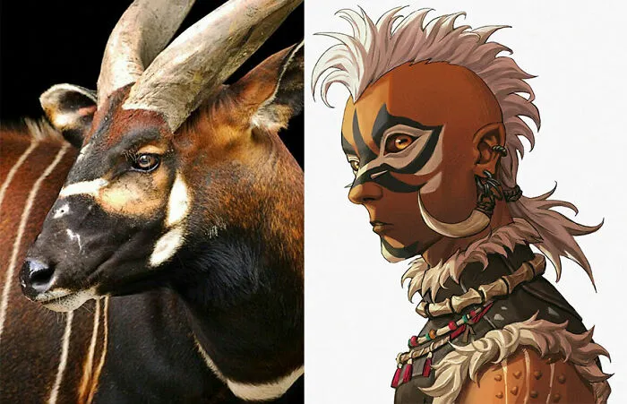 Bongo Antelope