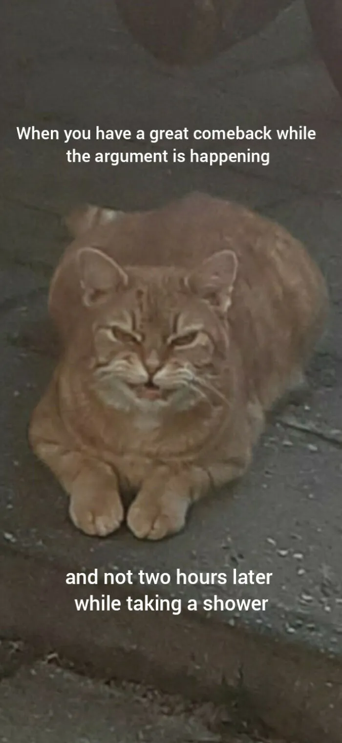 Starring My Cat Joris :)