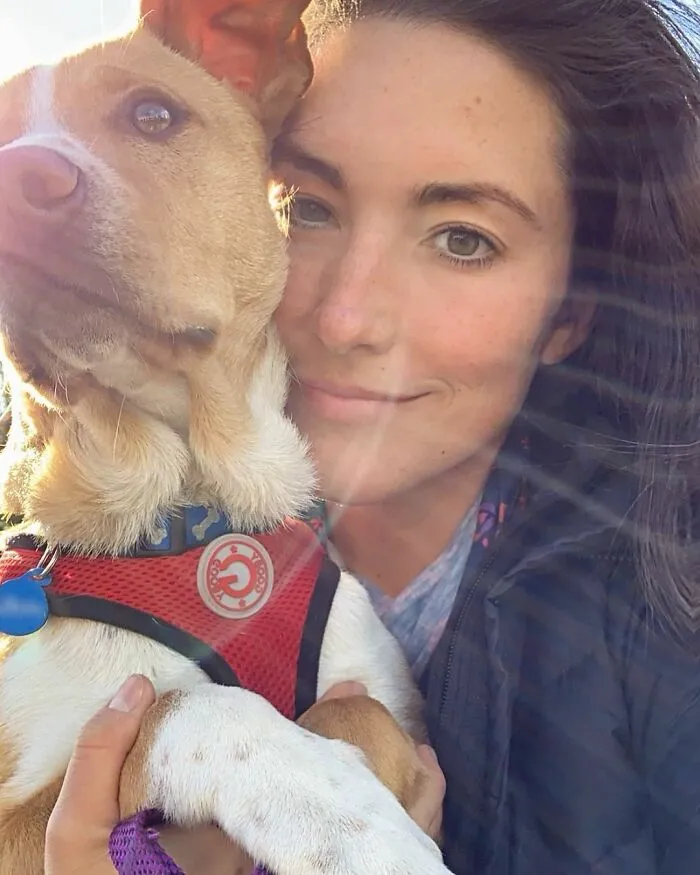 Este perro callejero siguió a esta chica mientras estaba de excursión, y al final lo adoptó (21 fotos)