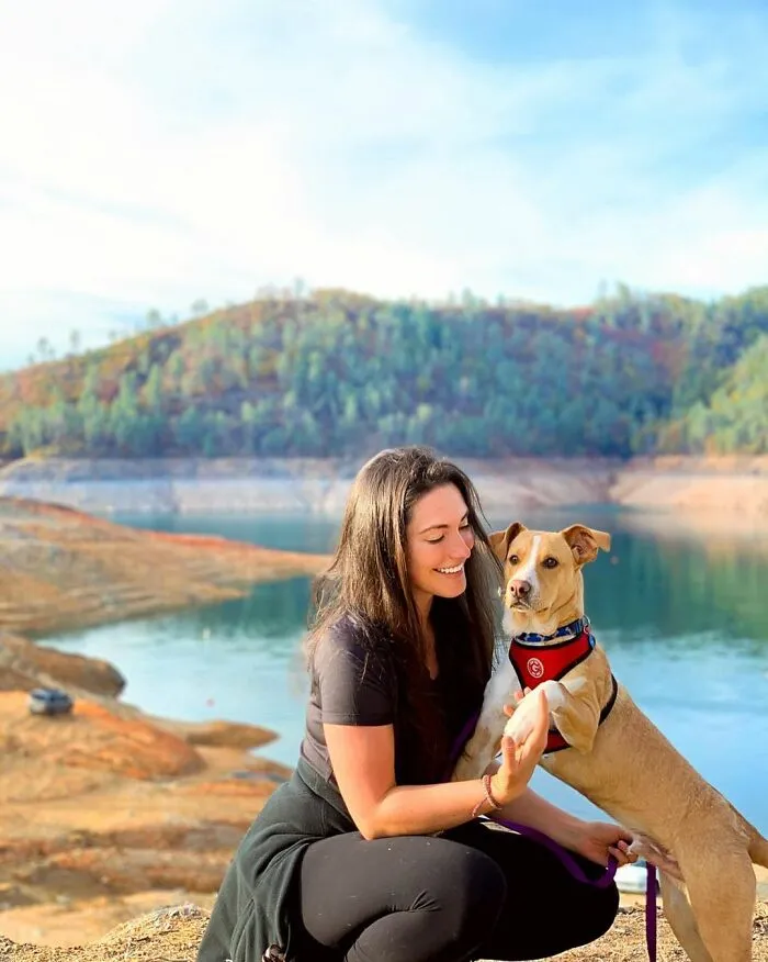 Este perro callejero siguió a esta chica mientras estaba de excursión, y al final lo adoptó (21 fotos)