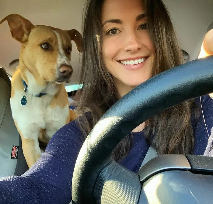 Este perro callejero siguió a esta chica mientras estaba de excursión, y al final lo adoptó (21 fotos)