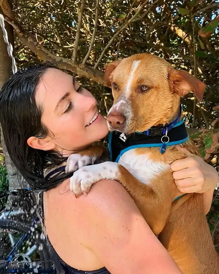 Este perro callejero siguió a esta chica mientras estaba de excursión, y al final lo adoptó (21 fotos)