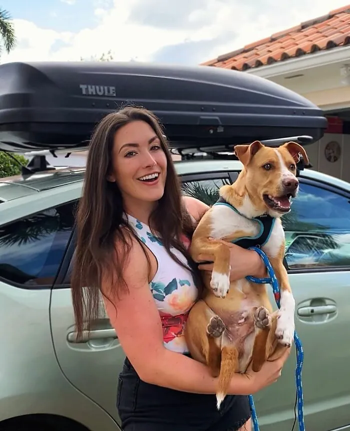 Este perro callejero siguió a esta chica mientras estaba de excursión, y al final lo adoptó (21 fotos)