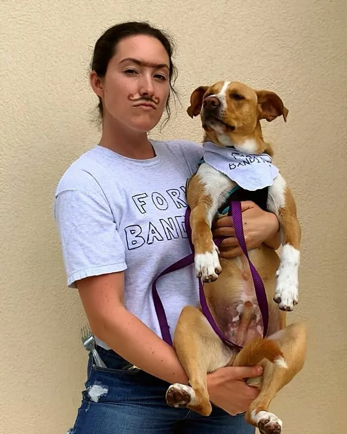 Este perro callejero siguió a esta chica mientras estaba de excursión, y al final lo adoptó (21 fotos)