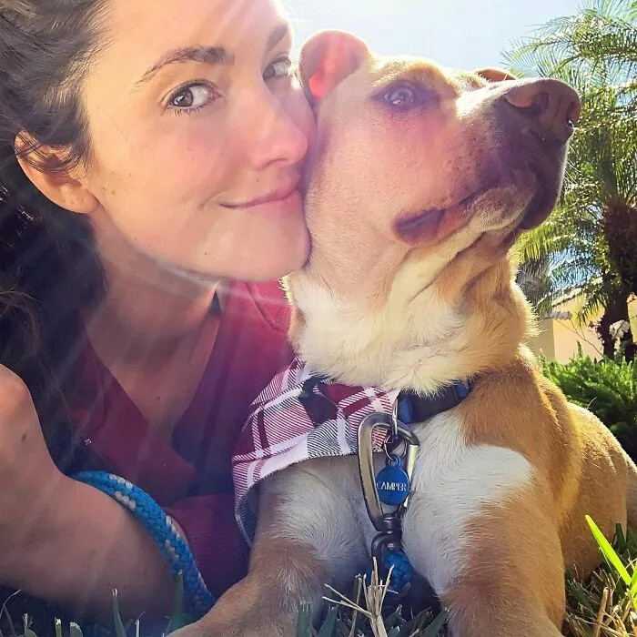 Este perro callejero siguió a esta chica mientras estaba de excursión, y al final lo adoptó (21 fotos)